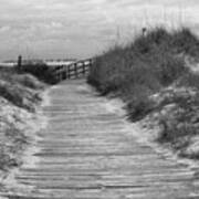 Pathway To The Beach In Black And White Art Print