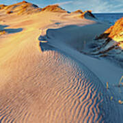 Peaceful Dune Sunset Art Print