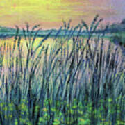 Peaceful Pond Art Print