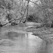 Peacefully Flowing Bw Art Print