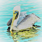 Pelican In Soft Glow Art Print
