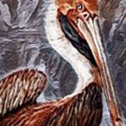 Pelican Portrait Art Print