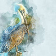 Pelican Watercolor Art Print