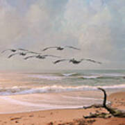 Pelicans At Honeymoon Island Art Print