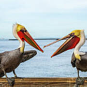 Pelicans On The Oceanside Pier Art Print