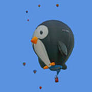 Penguin - Hot Air Balloon - Transparent Art Print