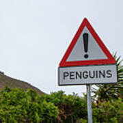 Penguins Road Sign Art Print