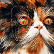 Persian Cat With Long Whiskers Close-up - White, Black And Brown Digital Painting Art Print