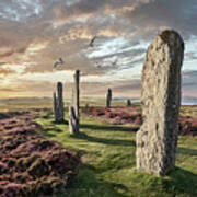 Ancient Stone - Photo Of The Ring Of Brodgar Stone Circle, Orkney Art Print
