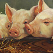 Pig Heaven Art Print