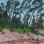 Piney Rock Art Print