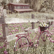 Pink Bicycle In The Farmhouse Poppies Art Print