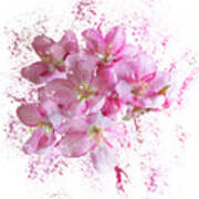 Pink Blossoms Art Print