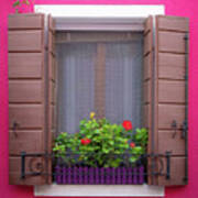 Pink Buran Window Art Print