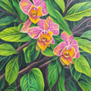 Pink Flowers On Green Leafs Art Print