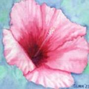 Pink Hibiscus Art Print