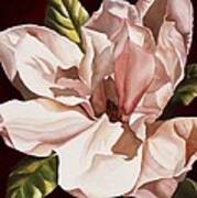Pink Magnolia Art Print