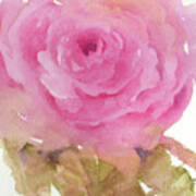 Pink Rose #1 Art Print