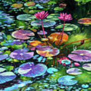 Pink Water Lilies And Lily Pads Art Print