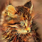 Pixie The Brown Tabby Cat Art Print
