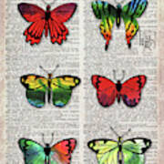 Potential Energy Of Butterfly Effect Dictionary Page Art Iii Art Print