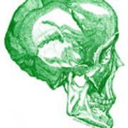 Preservation-green Skull Art Print