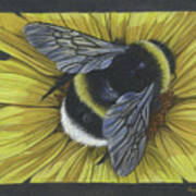 Protect Pollinators Art Print