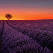 Provence Sunset Art Print