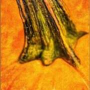 Pumpkin Stalk Art Print