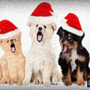 Puppy Christmas Choir Art Print