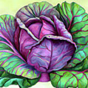 Purple Cabbage 5a Art Print