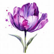 Purple Gems- Purple Tulips Rhode Island Tulips Purple Flower Art Print