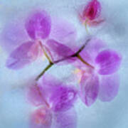 Purple Orchid In Blue Ice Art Print