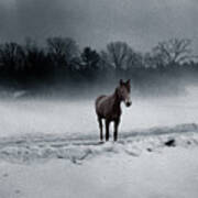 Quarter Horse In The Mist Art Print