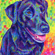 Rainbow Labrador Retriever Art Print