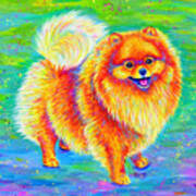 Rainbow Pomeranian Art Print