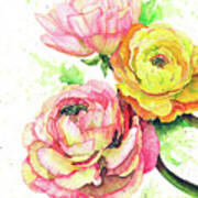 Ranunculus Flowers Art Print