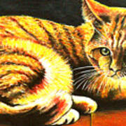 Red Cat Art Print