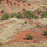 Red Dirt Outback Landscape Art Print
