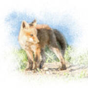 Red Fox Kit #14 - Ready To Run Art Print