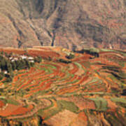 Red Soil Farmlands In Dongchuan District Art Print