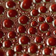 Red Water Bubbles Art Print
