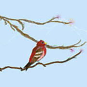 Redbird On Limb Art Print