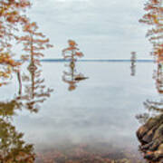 Reelfoot Lake 17 Art Print