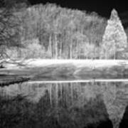 Reflections In Infrared Art Print