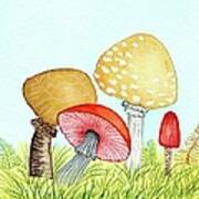 Retro Mushrooms 1 Art Print