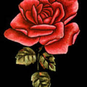 Retro Rose Art Print
