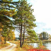 Road Through The Wildlife Refuge Art Print