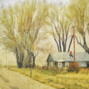 Roadside Cabin Art Print