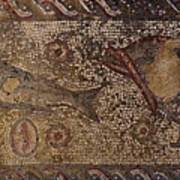 Roman Fish Mosaic Panel In Milreu Art Print